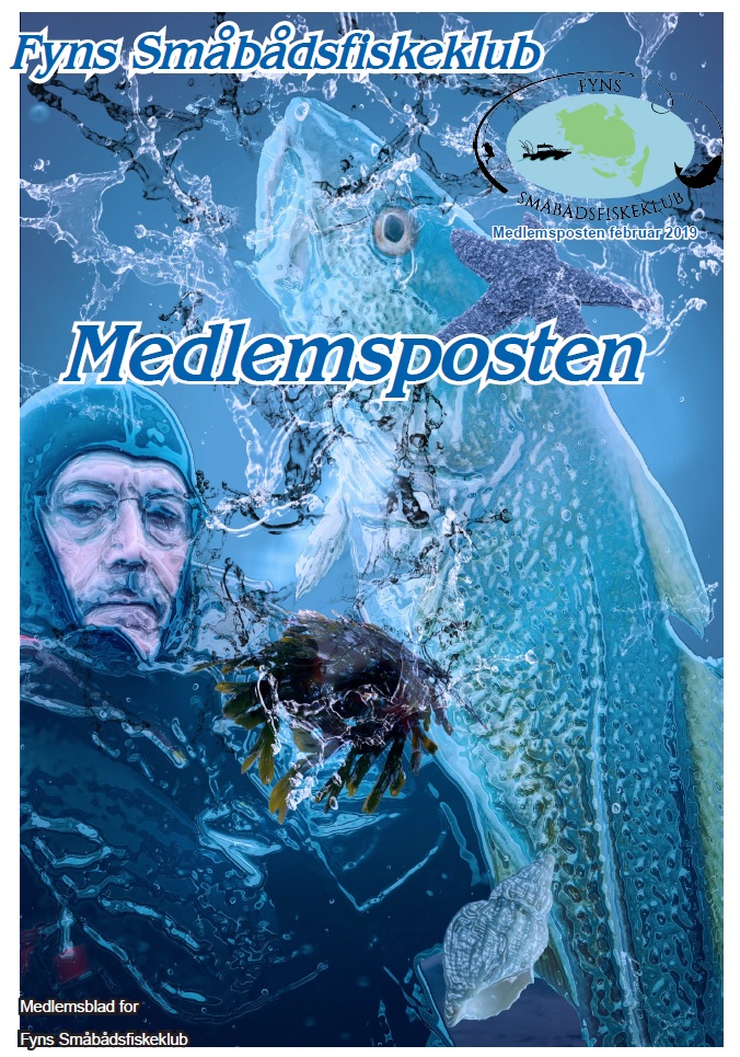 FSKMedlemspostenFeb2019