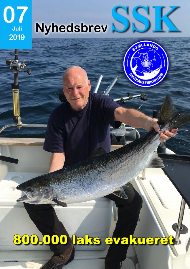 SSK nyhedsbrev Juli2019