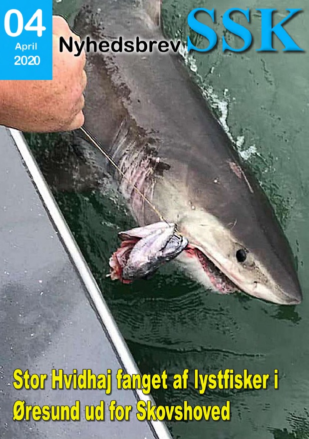 NyhedsbrevSSK 4 2020