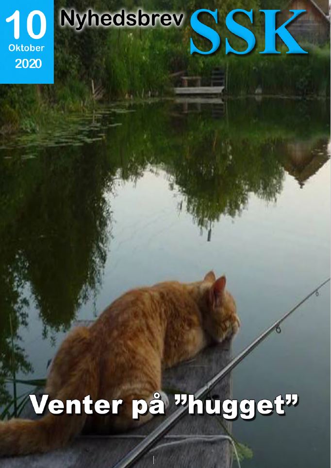 SskNbOktober20