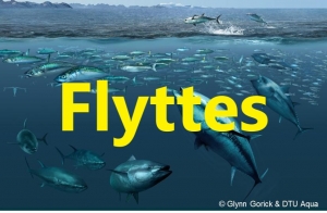 DTU Tun mærkning          FLYTTETS