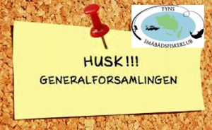Generalforsamling_ FLYTTET SE LANGTEKST